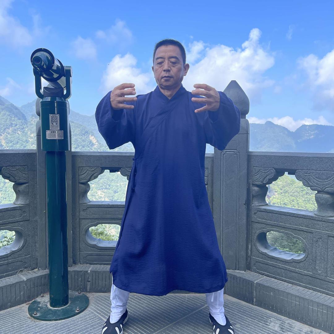 紫尘阁~致截混元桩
