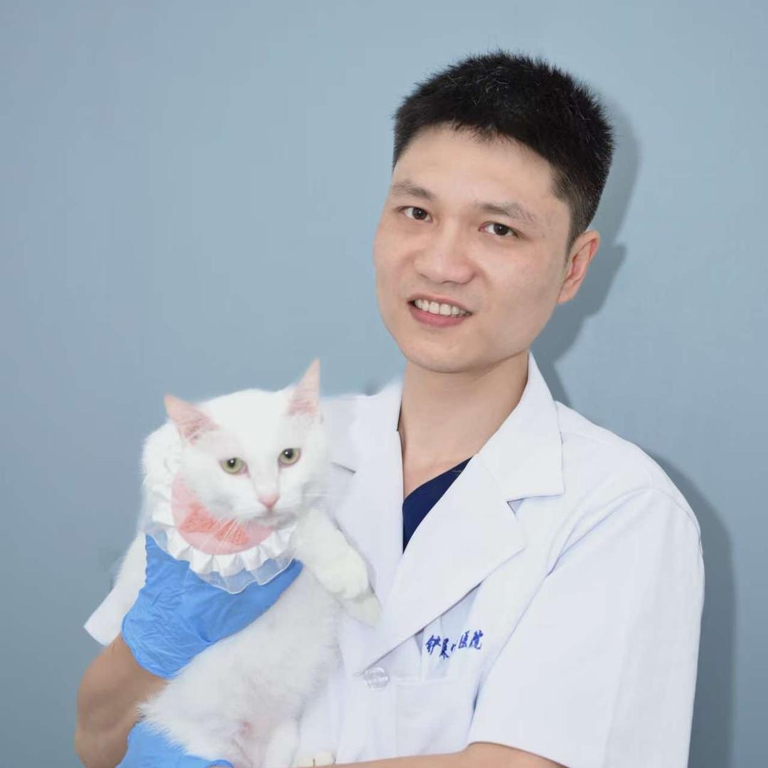 铲屎官动物医院·斯宝乐思