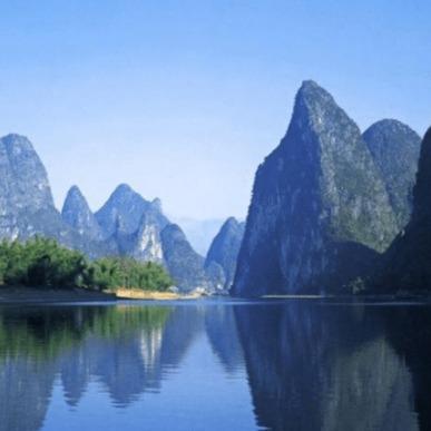 郑何-风茗子直播号