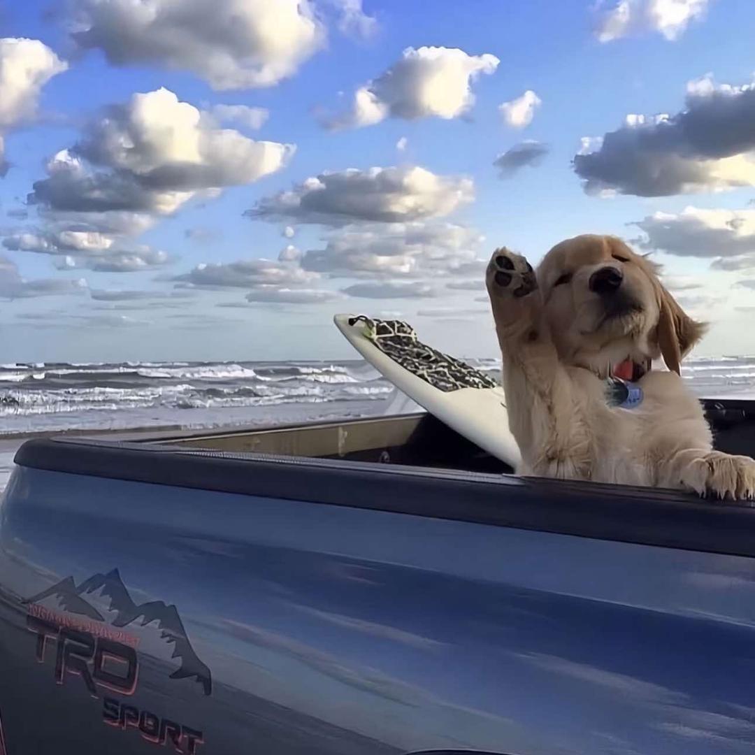 西奥车酷护理工作室官方号