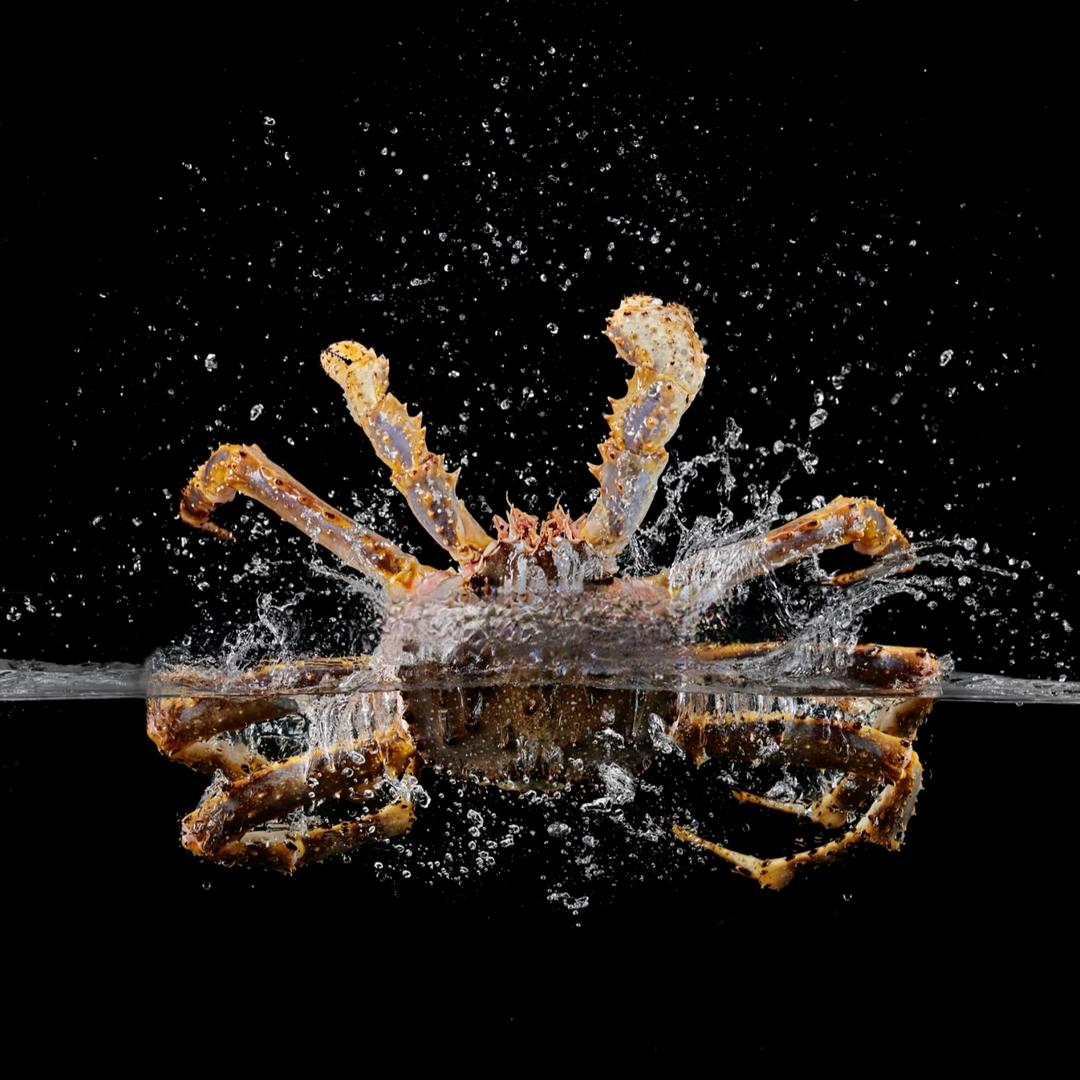 粤海丽筵.海鲜工坊