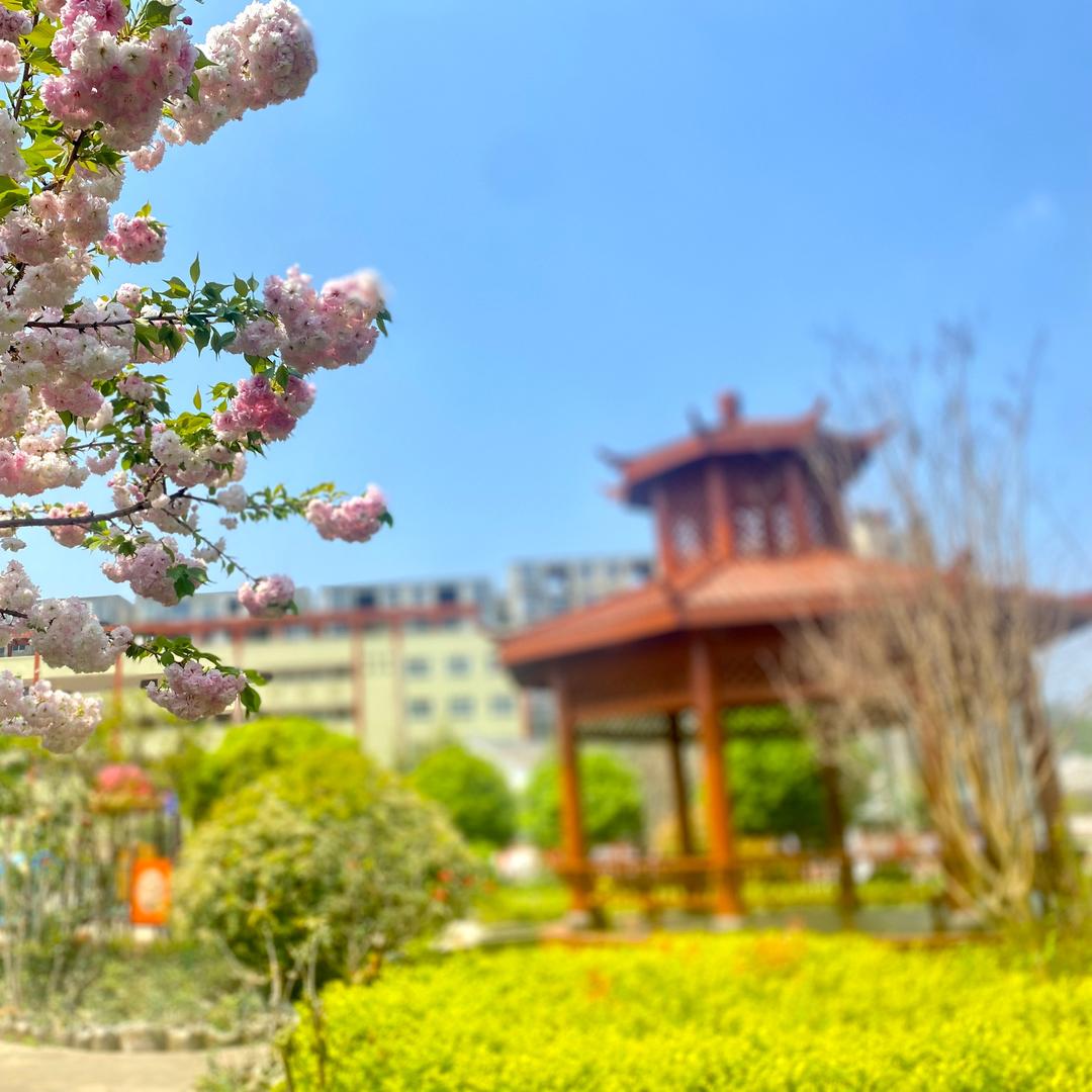 翰林学校
