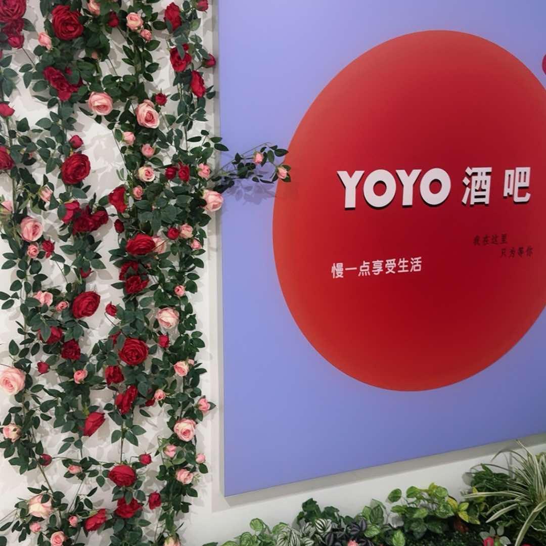 YOYO酒吧官方号