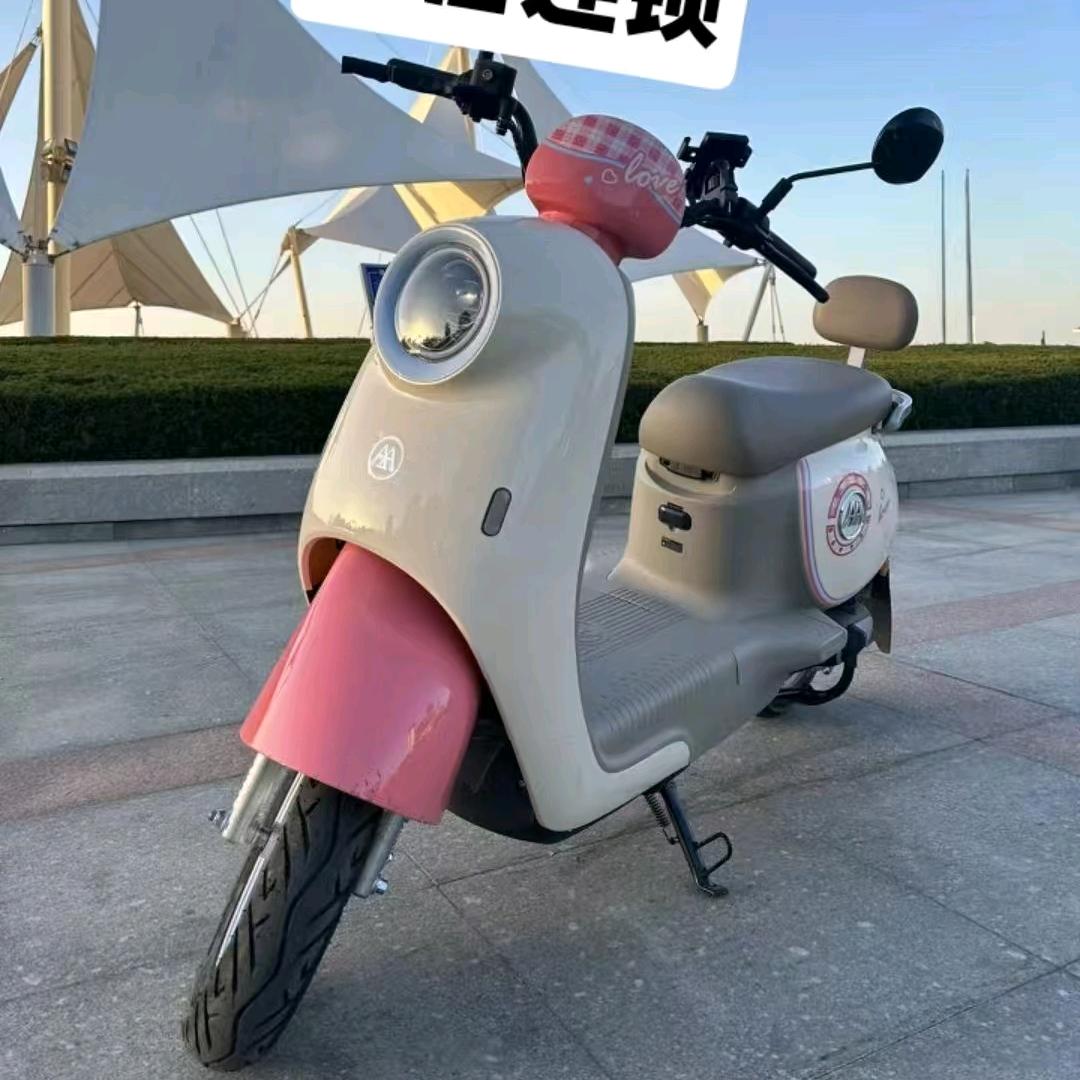 威海电动车出租