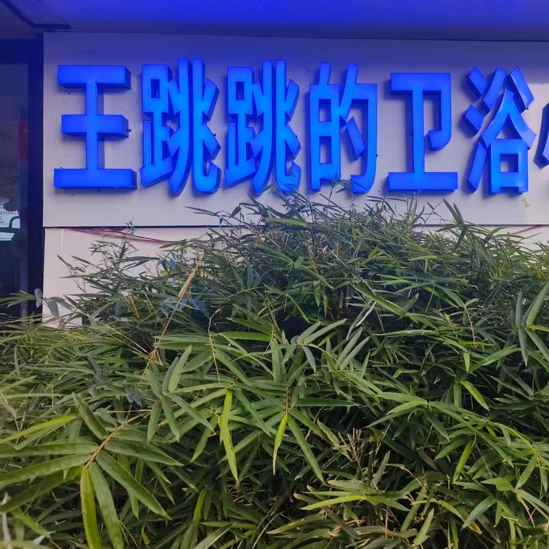 阿超王跳跳的卫浴小店