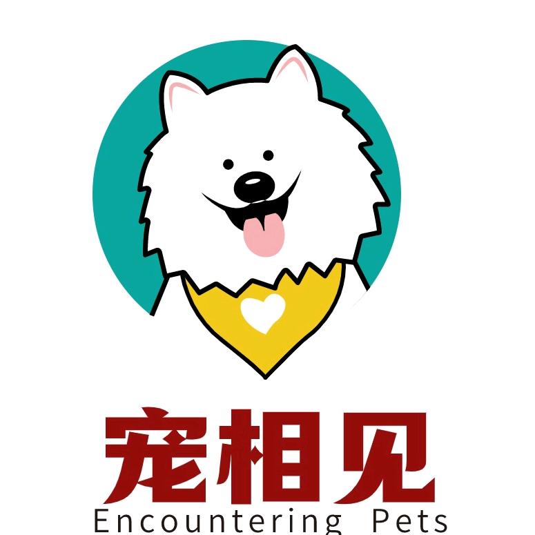 侯爸说宠物