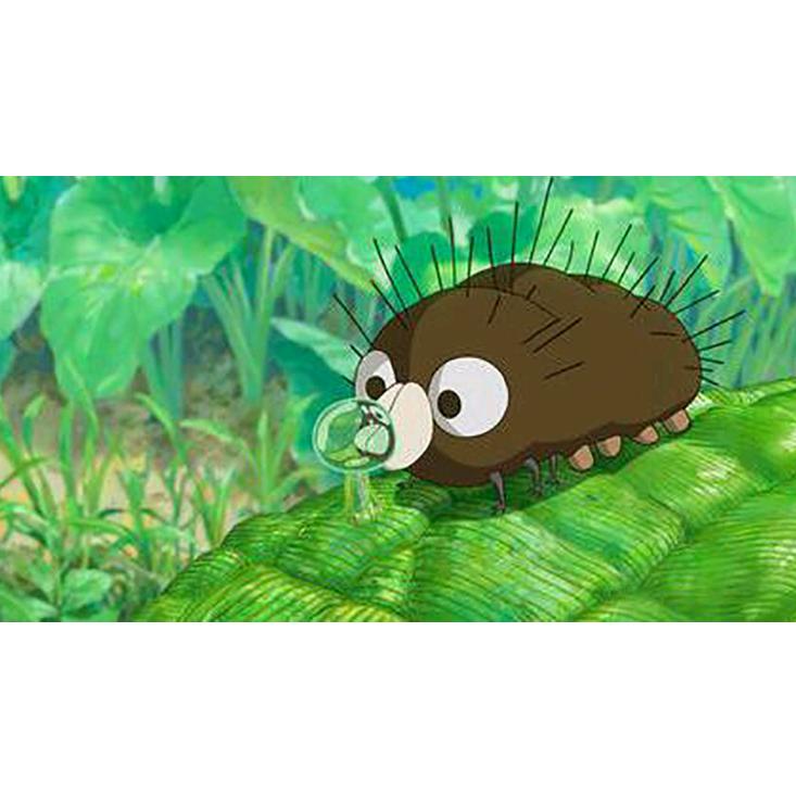 毛毛虫童书优选