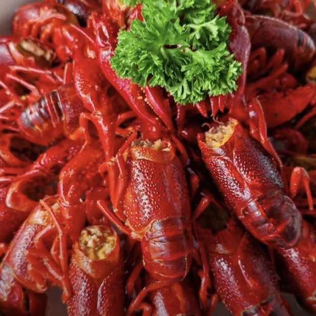 虾引力小龙虾官方号