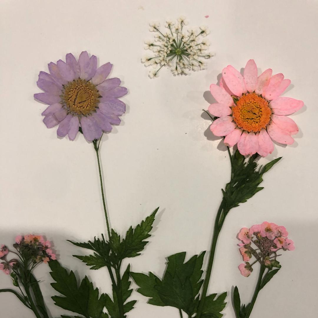 新瑞便利(科锦苑东区店)1293678727的直播号