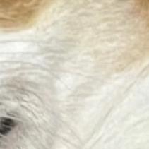 尊世情怀双万垒22直播号