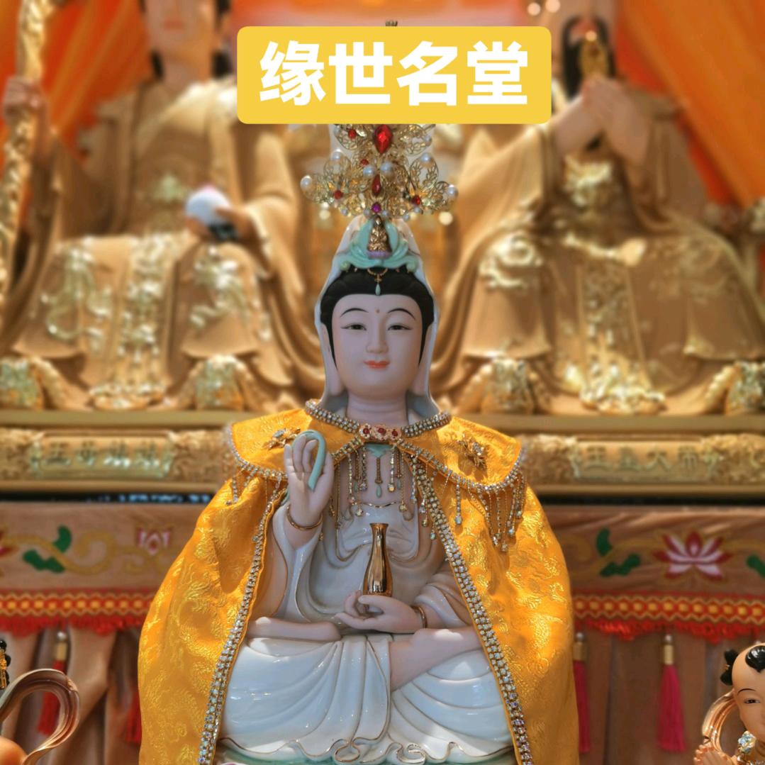 尚屯中原祛斑王-郑鸽