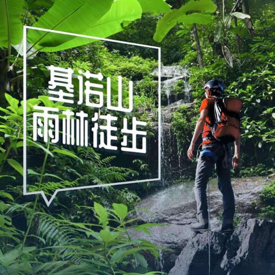 基诺山达娘雨林徒步