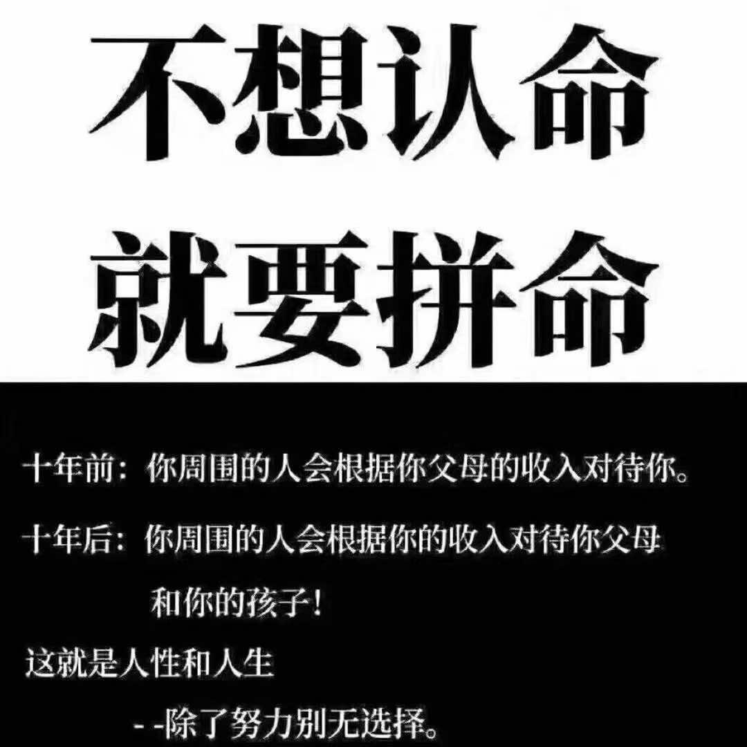 夏一ju灵