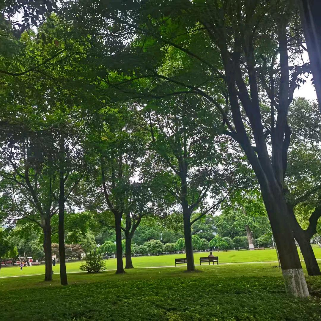 兴和装饰材料行直播号