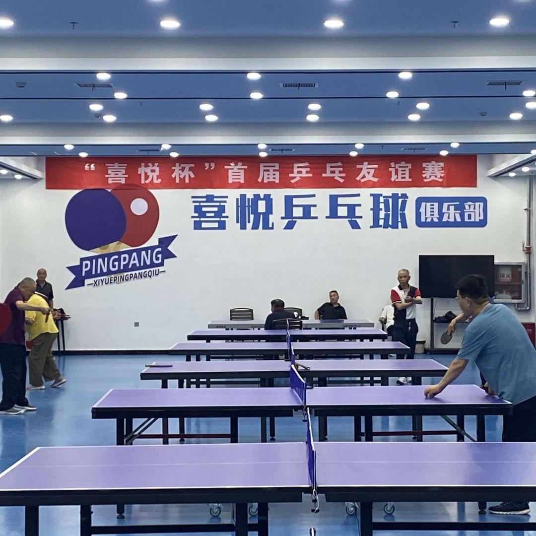 内乡喜悦乒乓球馆