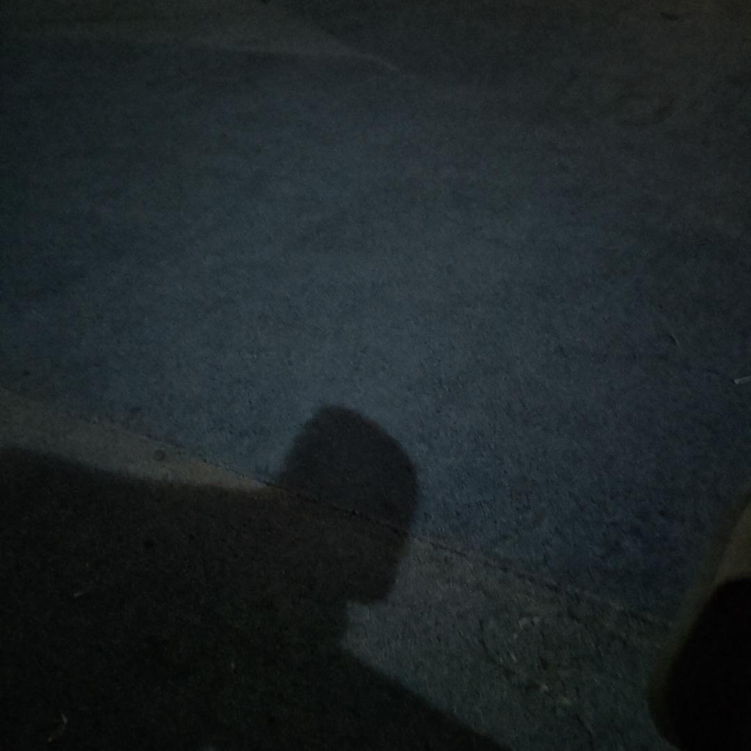 日入（闫郇荛牧）