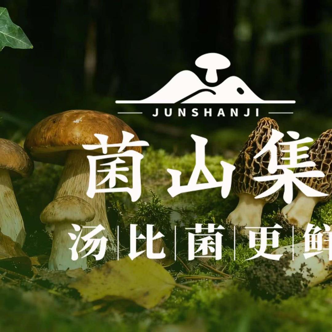 菌山集·云南野生菌火锅(五星街店)专用号