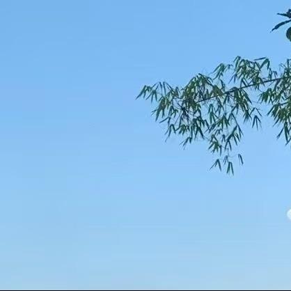 恒利安五金电器商店广州亨碧贸易有限公司可可