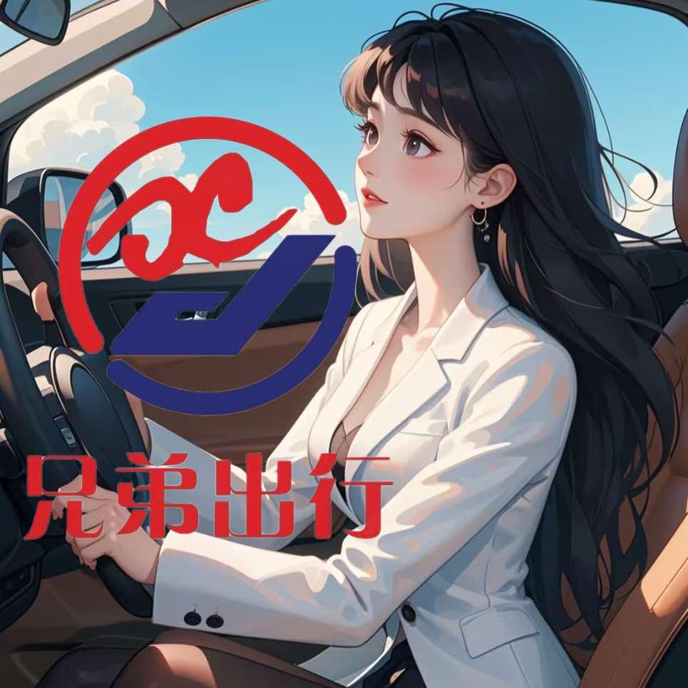 广州兄弟出行新能源二手车批发