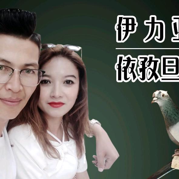 伊力亚尔江依孜旦鸽子服务店