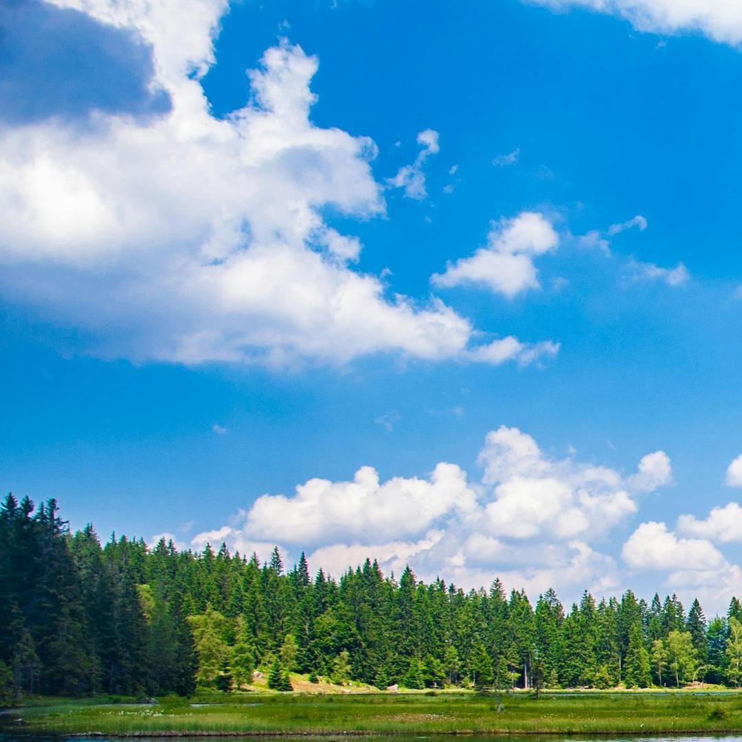 梦动好久直播号