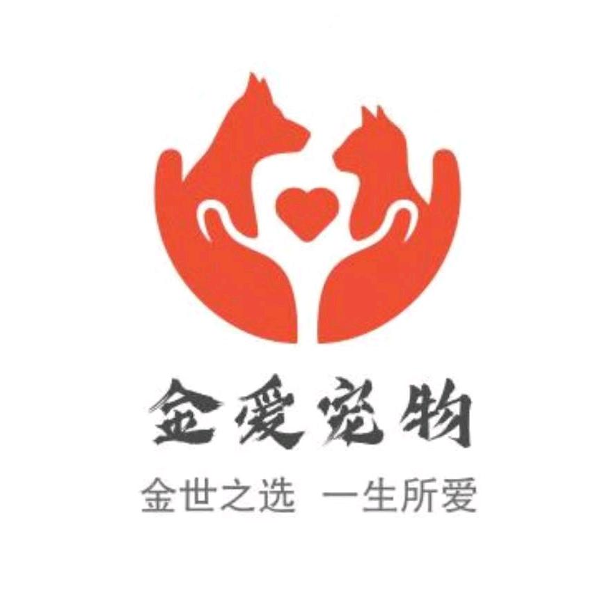 金爱宠物诊所