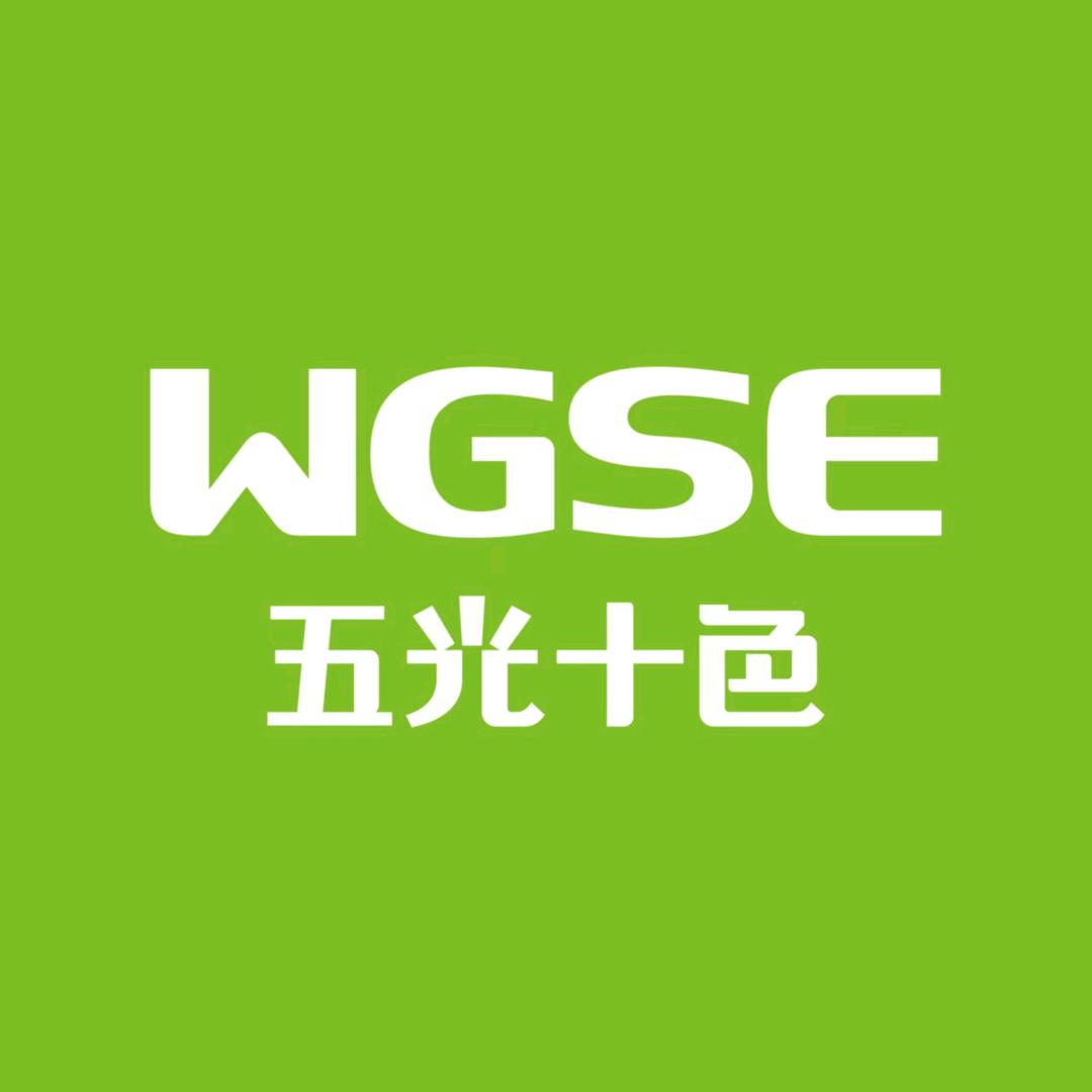 雷州五光十色照明