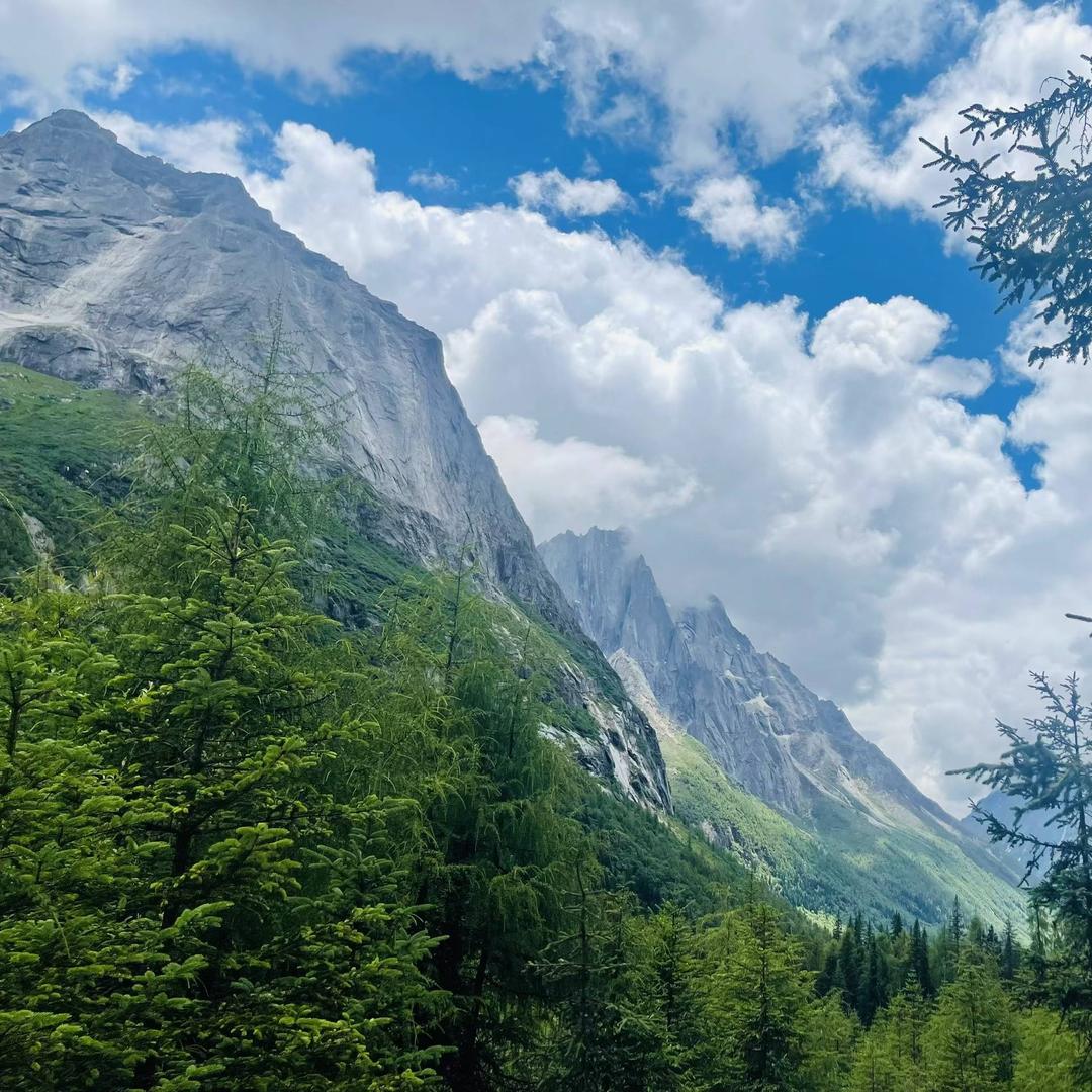 梦幻砖头B（复涛瑞）