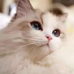 每一天便利店(旺座曲江2店)愈本纪贸易有限公司户外推广号