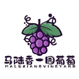 马陆香一园葡萄采摘园