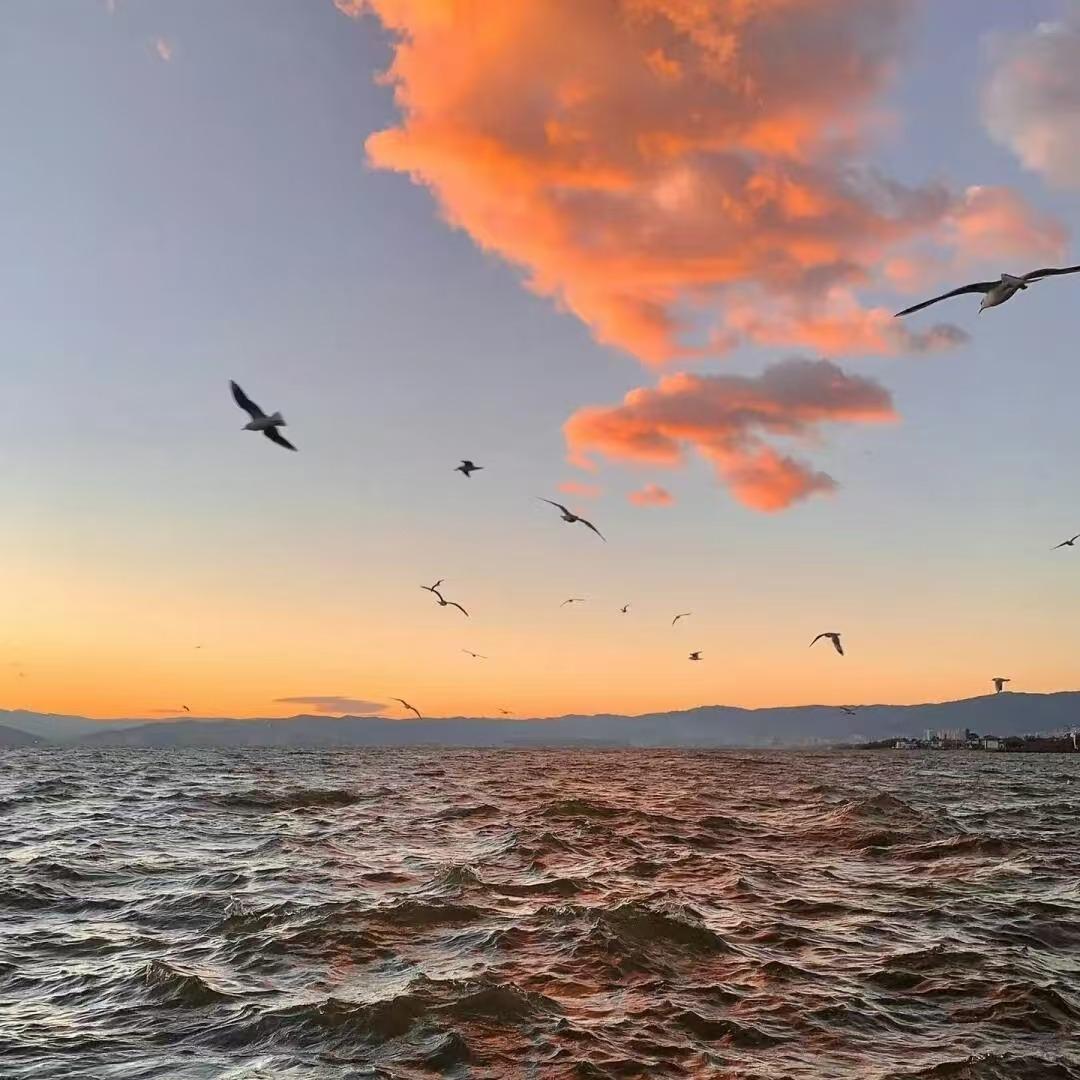 宣威目鱼希有限公司经营号