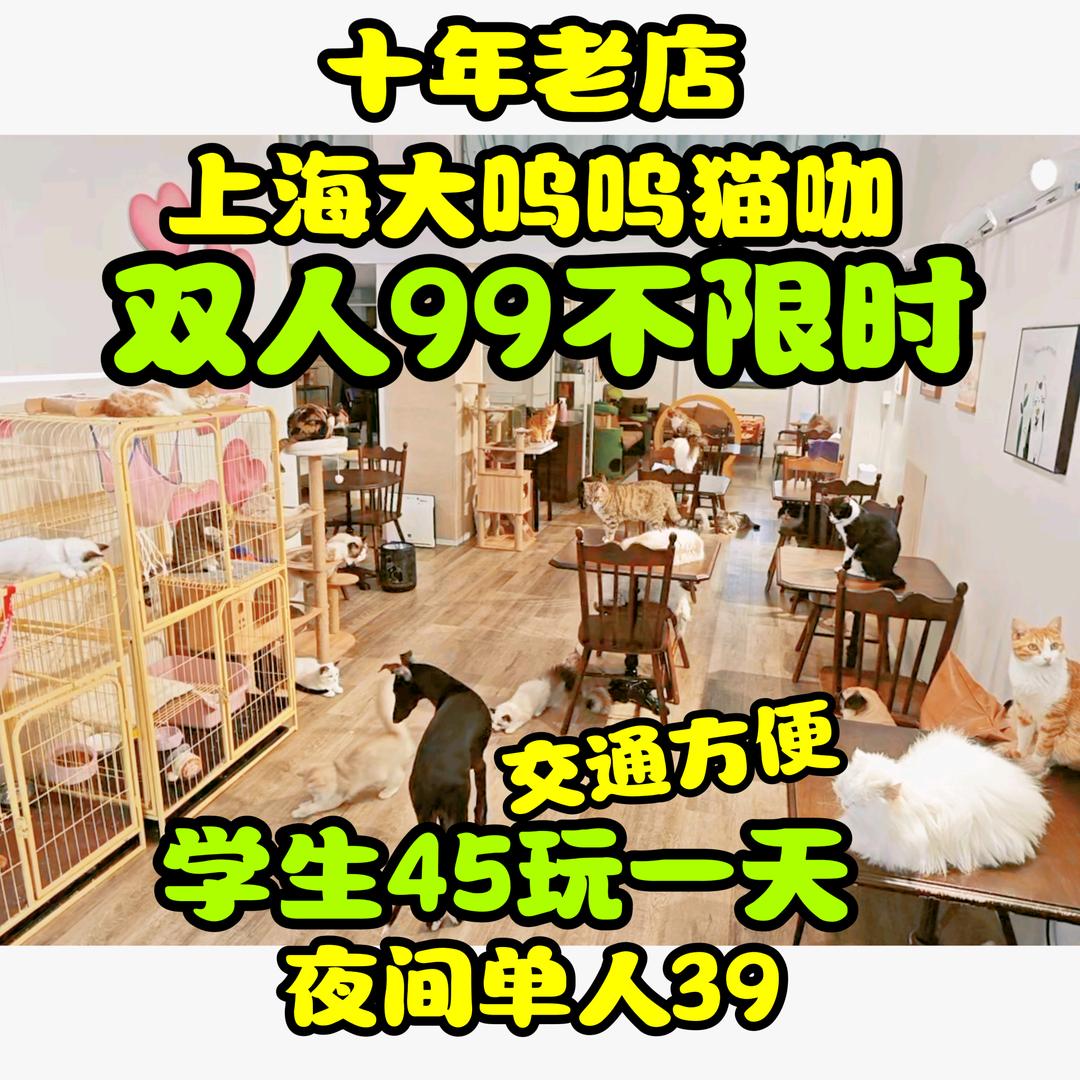 上海大呜呜猫咖十岁啦