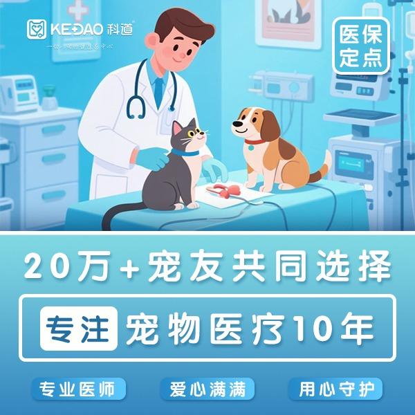 科道动物医院纸坊分院