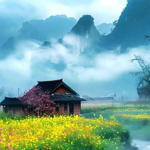 铛符漾2直播号
