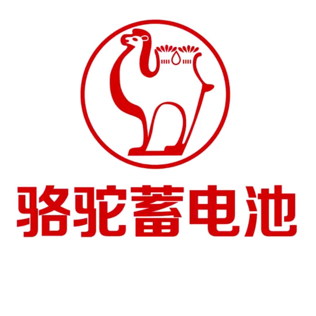 寿光骆驼蓄电池总代理