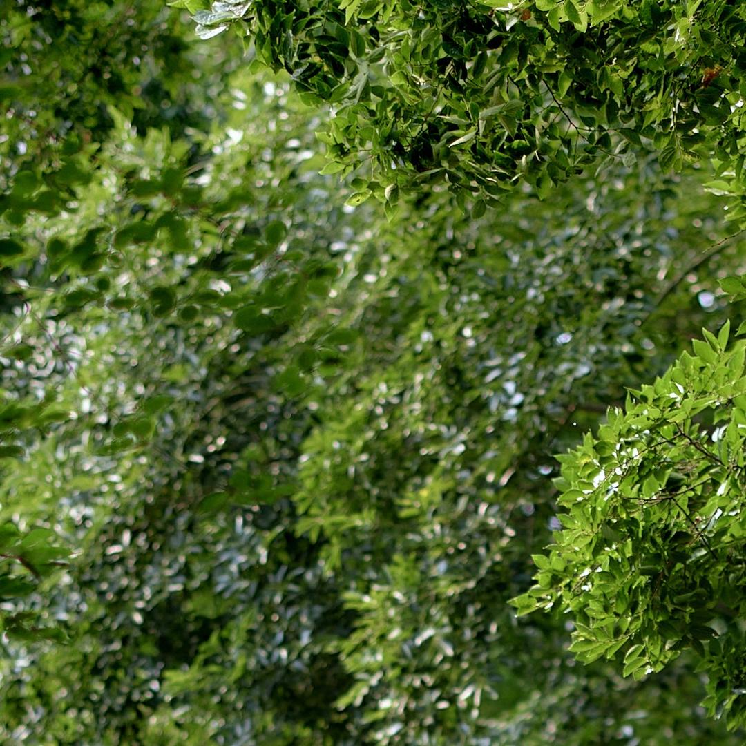 易得利絚诓惱聚合直播三号