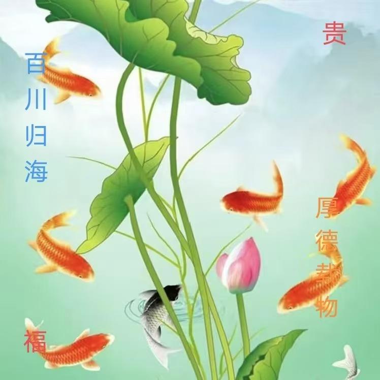 子淇（友谊约场）直播号