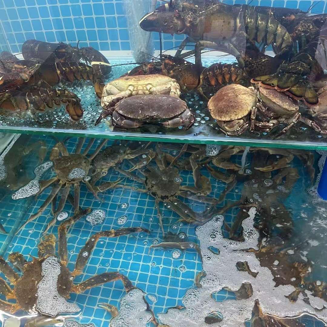 新发地刚子水产官方号