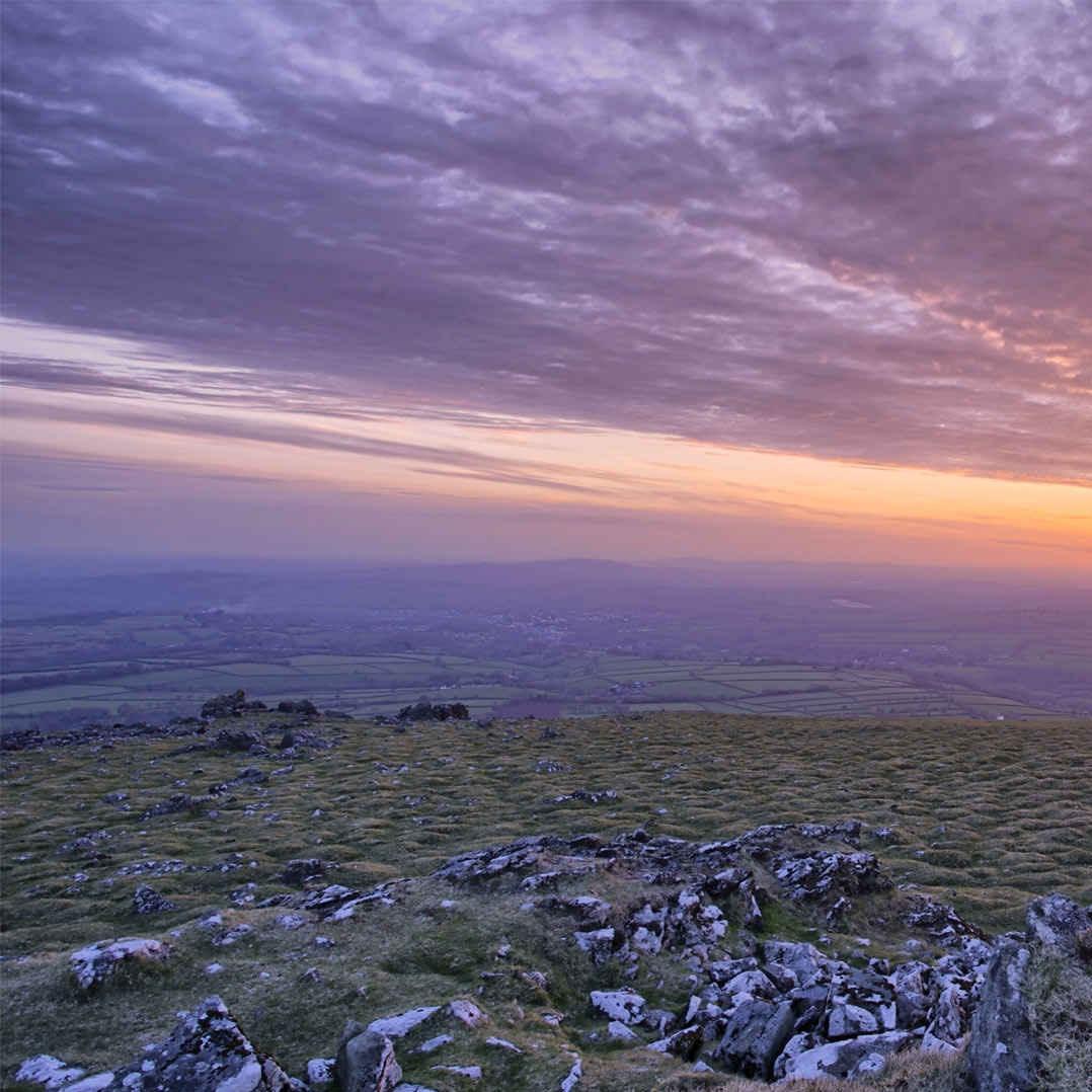 广州柱晴贸易直播号