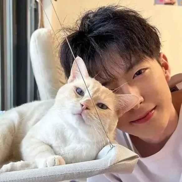 一一广告装宇饰宠粉号