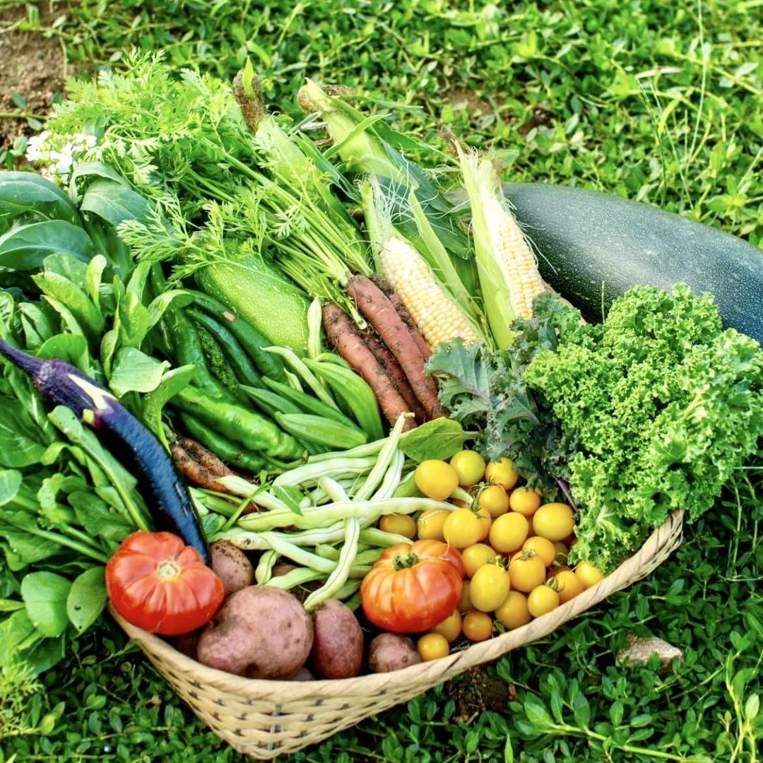 黑麋峰四时田园