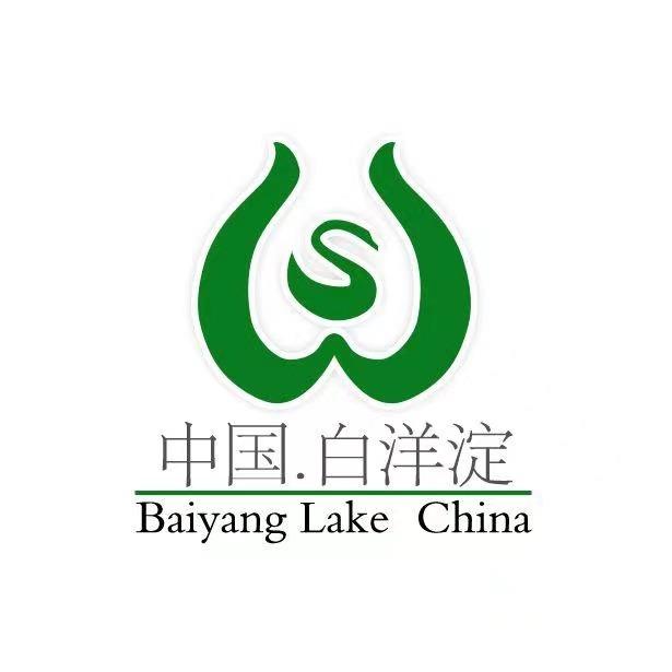 白洋淀景区-官方号