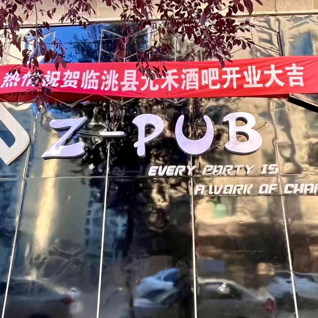 Z PUB 元禾酒吧