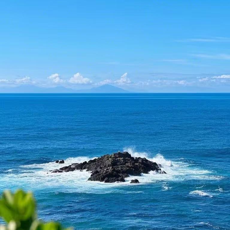 广州同瑞药房有限公司垂直号