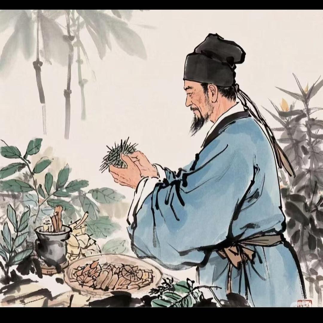 善恒馆-瑞比克(厦门大悦城店)