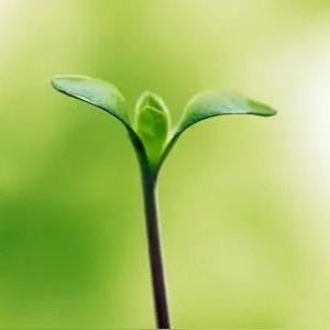 薇峡百货清清宝