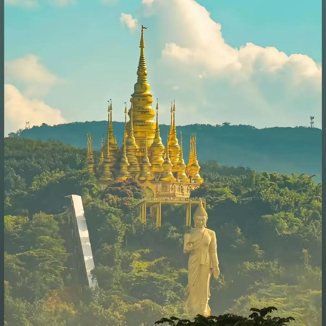 东南亚龙弟.佩画胜