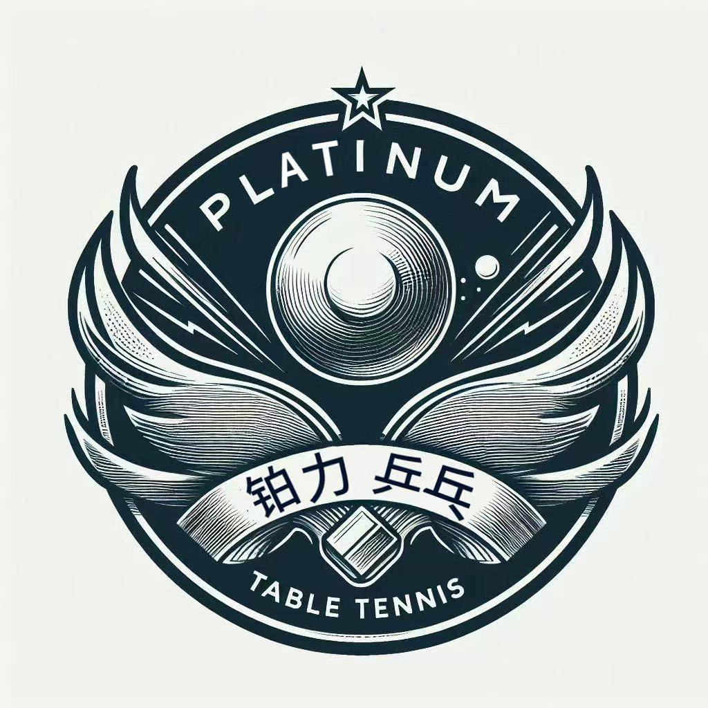 铂力乒乓