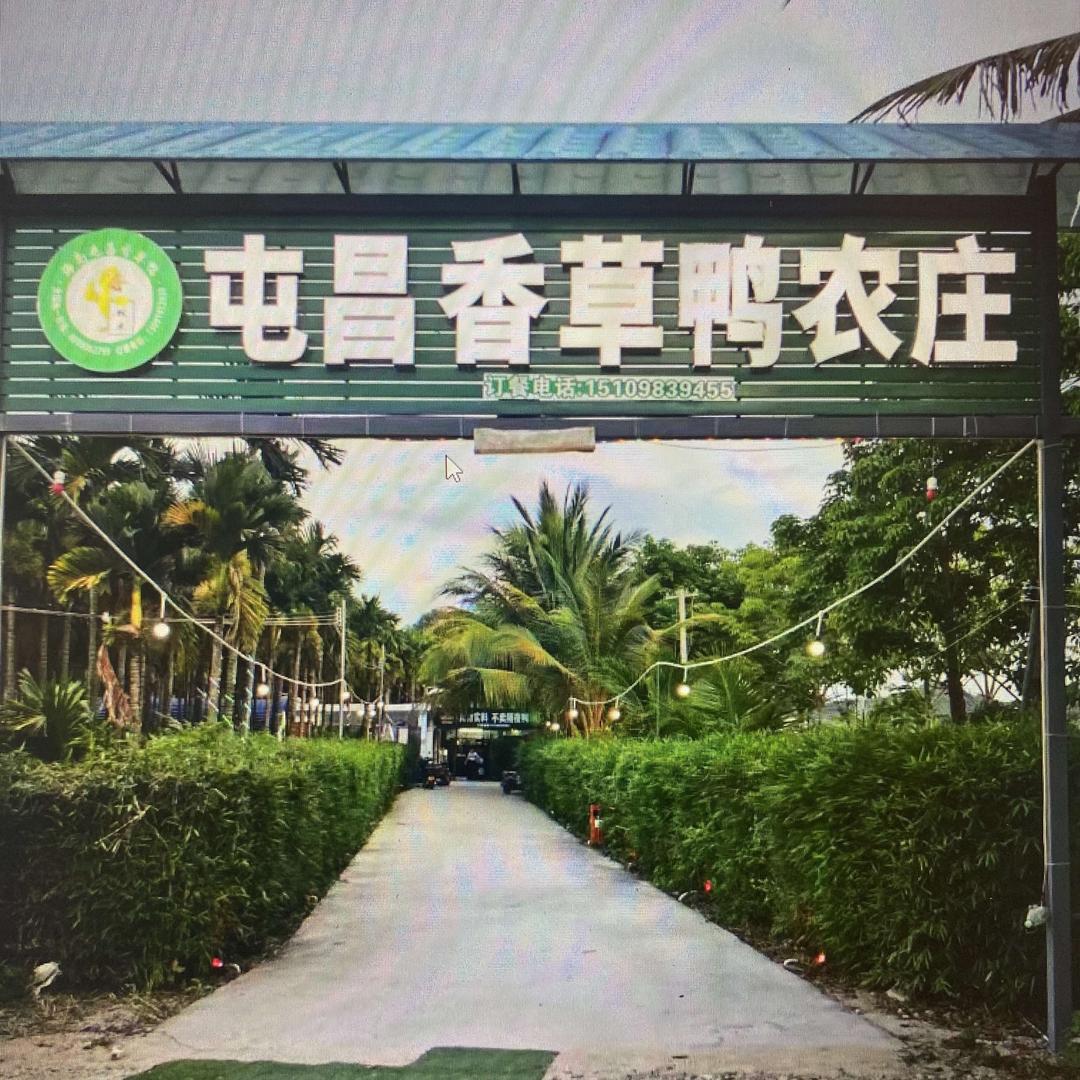 屯昌香草鸭农庄