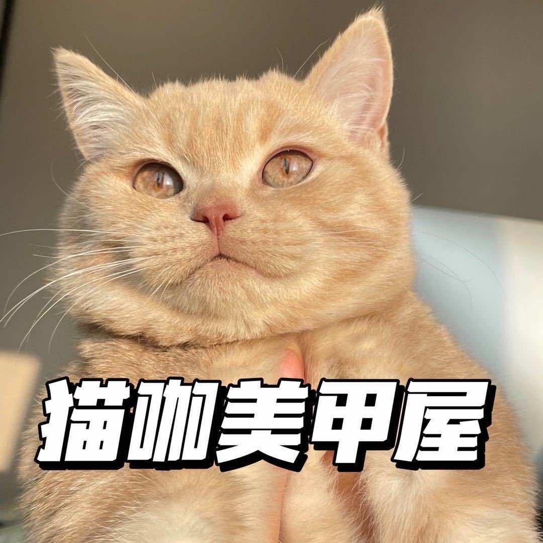 UKX猫咖日式美甲美睫